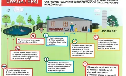 Zdjęcie do WAŻNA INFORMACJA DLA HODOWC&Oacute;W DROBIU 