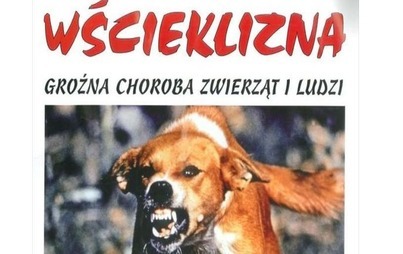 Zdjęcie do OBOWIĄZKOWE SZCZEPIENIE PS&Oacute;W I DOBROWOLNE SZCZEPIENIE KOT&Oacute;W PRZECIWKO WŚCIEKLIŹNIE