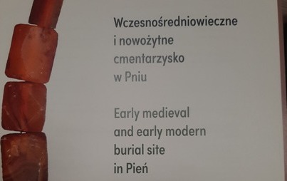 Zdjęcie do &bdquo;Wczesnośredniowieczne i nowożytne cmentarzysko w Pniu / Early medieval and early modern burial site in Pień&rdquo; dostępna w wersji cyfrowej 