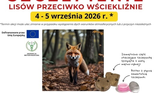kadr plakatu